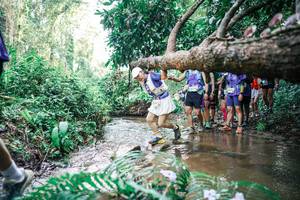 BIB: 
                            <button type="button" onclick="openModal(25475091)" class="btn btn-primary btn-sm float-right btn-popup" data-toggle="modal" data-target=".modal-high-quality">
                        <i class="fas fa-shopping-cart"></i> Add to Cart
                    </button>
                                            <button type="button" onclick="isThisMe(25475091, true)" class="btn btn-success btn-sm float-right btn-popup btn-isme hidden" data-toggle="tooltip" data-placement="bottom" title="นี่คือรูปของคุณใช่ไหม คลิกที่นี่เพื่อเอาเข้าอัลบั้ม">
                        <i class="fas fa-plus"></i> Add to album
                    </button>
                    <button type="button" onclick="isThisMe(25475091, false)" class="btn btn-warning btn-sm float-right btn-popup btn-isnotme hidden">
                        <i class="fas fa-ban"></i> Remove from album
                    </button>